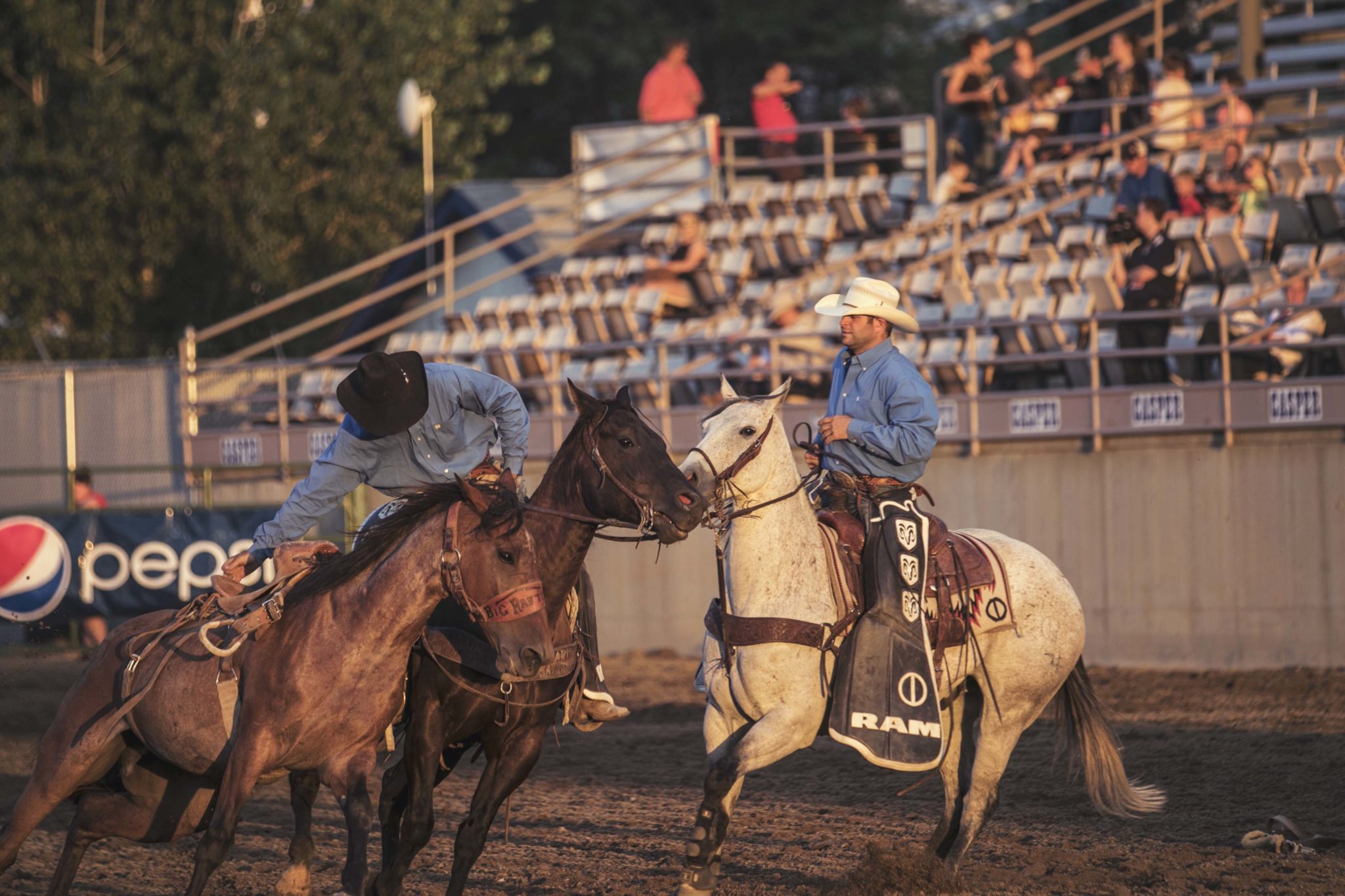 Pro Rodeo Recognizes PRCA Pickup Horses with Inaugural Nutrena