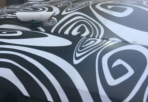 Vehicle Camoflauge