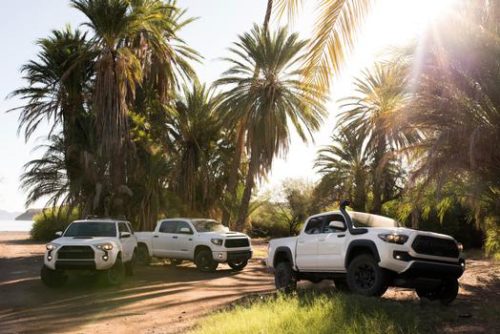 off road vehicles