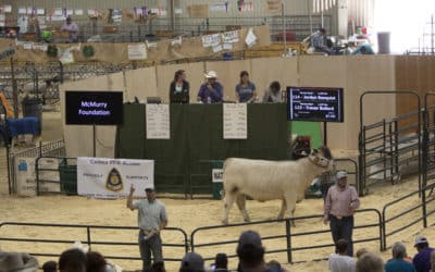 2018 Natrona County 4H/FFA Junior Livestock Sale.