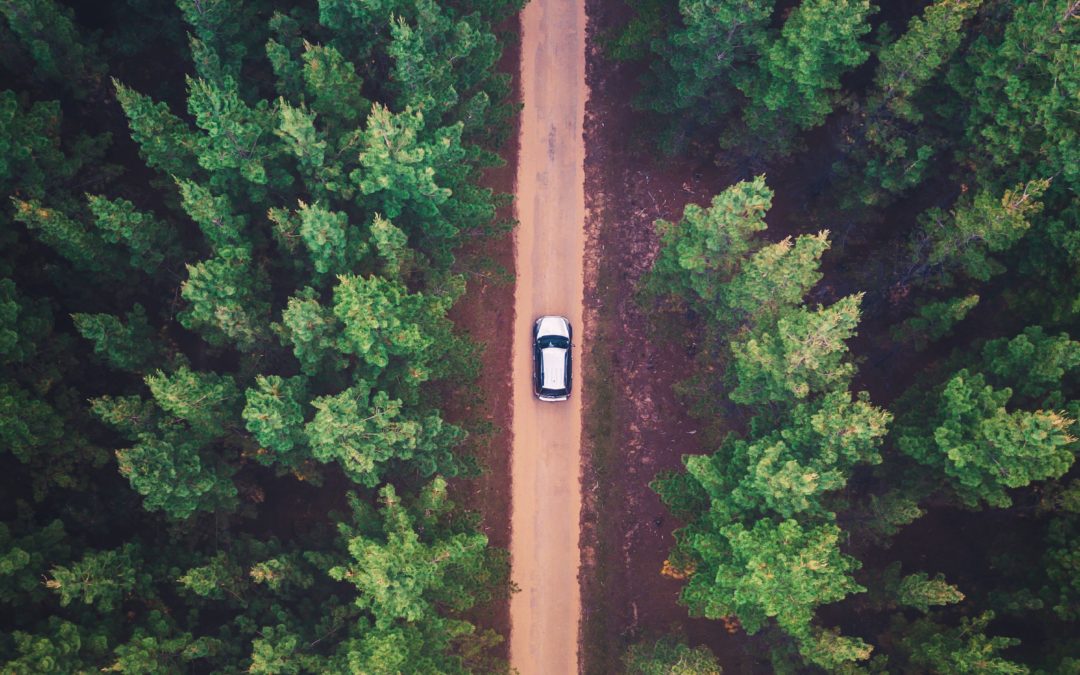 What Exactly Is or Isn't Covered Under a Bumper to Bumper Warranty