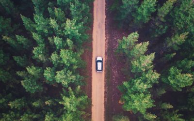 What Exactly Is or Isn’t Covered Under a Bumper to Bumper Warranty