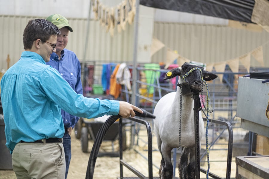 Natrona County Jnr Livestock Auction