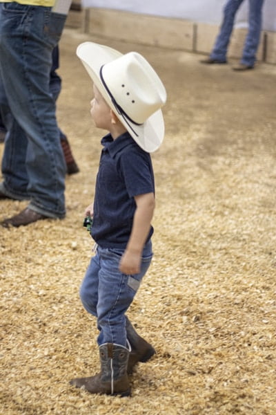 Natrona County Jnr Livestock Auction
