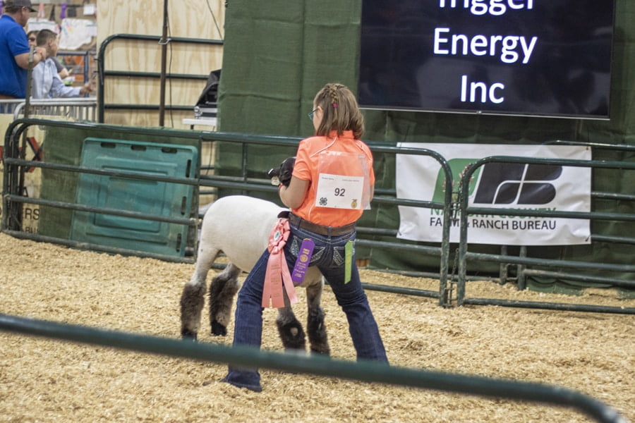 Natrona County Jnr Livestock Auction