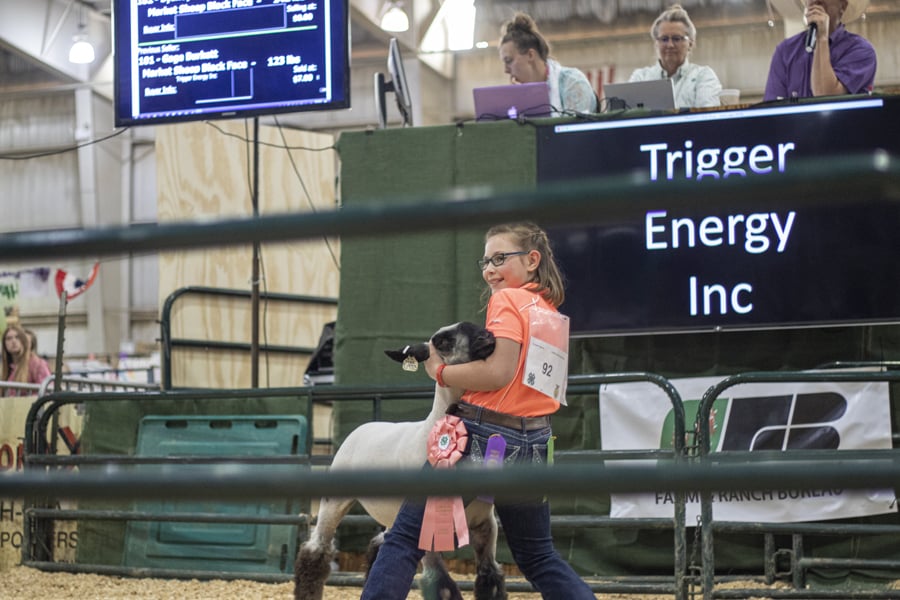 Natrona County Jnr Livestock Auction